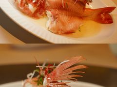 -觅唐MITONG(鸟巢店)