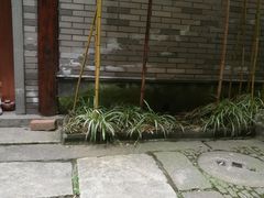 -龙潭水乡