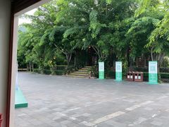 -亚龙湾热带天堂森林公园