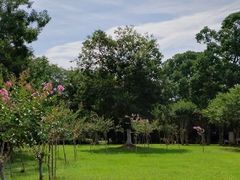 -合肥生态公园