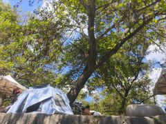 -楠溪江风景名胜区