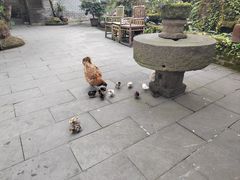 -青城甲(青城山店)