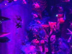 -沈阳海洋探索中心