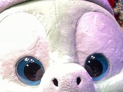 -小镇影院迪士尼小熊Duffy与他的朋友合影地