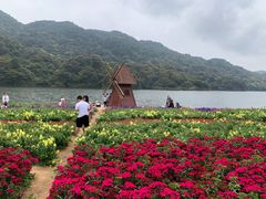 -广州市石门国家森林公园