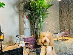 -J Create城市露营咖啡·简餐·宠物(上海动物园店)