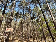 -帽儿山国家森林公园