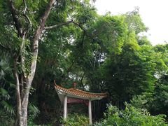 -中山公园(石岐街道)