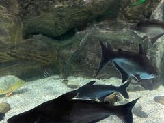 -多彩贵州城极地海洋世界