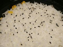 煲蒸米饭-多嘴超级肉蟹煲(蕾莎店)