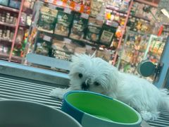 -FAELING PETS美天灵宠物(合生汇店)