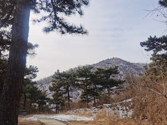 -北京西山国家森林公园