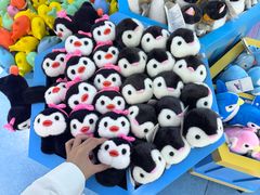 -海合安成都极地海洋公园