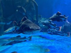 -多彩贵州城极地海洋世界