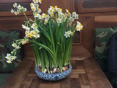 -小吊梨汤·北京菜(香山店)