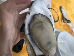 -蚝专家(北滘店)