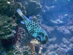 -海合安青岛极地海洋公园