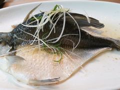 油盐蒸神仙鳊鱼-四海酒家生态粤菜