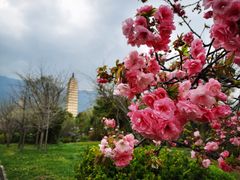 -崇圣寺三塔文化旅游区