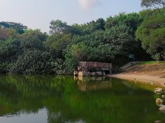 -深圳国际园林花卉博览园