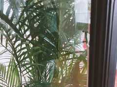 -Long Bar(莱佛士酒店)