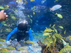 -太平洋海底世界