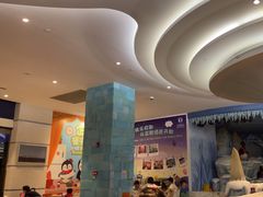 -帝企鹅自助餐厅•儿童岛•真企鹅(长隆企鹅酒店)