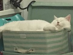 -联合动物医院(光谷诊疗中心)