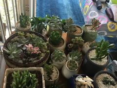 -SAH健身私教工作室(紫东店)