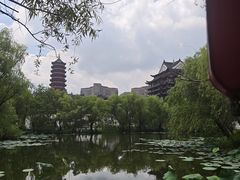 -长兴太湖图影湿地文化园