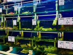 -阿静美食