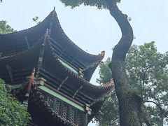 -成都市文殊院
