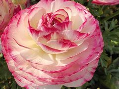 -同济大学(嘉定校区)