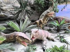 -国家自然博物馆