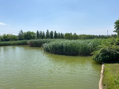 -石家庄市植物园