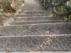 -梧桐山风景名胜区