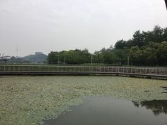 -月湖风景区