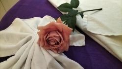 -蕾蕾美颜美容美体