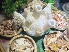 -菌彩云南野生菌火锅(万达广场店)