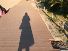 -台场海滨公园船码头