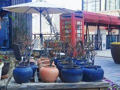 -瓦库茶馆17号(海汇港店)