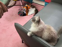 -零纪元VR体验馆·桌游(黄浦店)