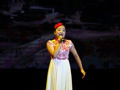 -陕北民歌大舞台