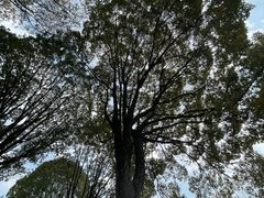 -南京珍珠泉风景区