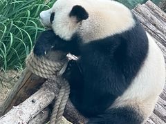 -大连森林动物园