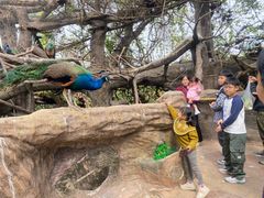 -长鹿旅游休博园