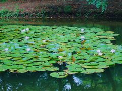 -长白岛森林公园