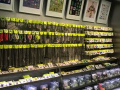 -HOWOW·D2Y(柏威年店)
