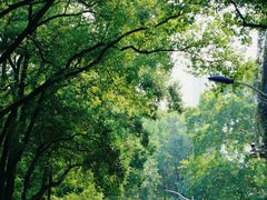 -中南财经政法大学(首义校区)