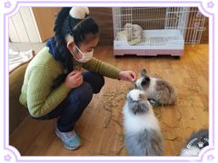 -猫猫幼稚园·撸猫·桌游·电玩